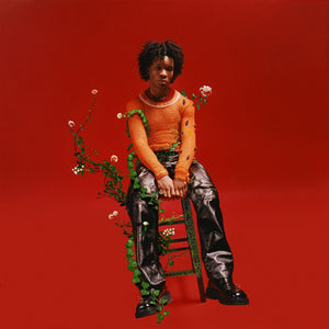 Petals To Thorns (Translucent Black Ice Vinyl) - D4vd (Vinyl) (AE)