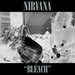 Bleach (2022 Reissue) - Nirvana (Vinyl) (BD)