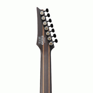 Ibanez Axion Label RGD71ALPA-CKF 7-String Electric Guitar, Charcoal Burst Black Stained Flat