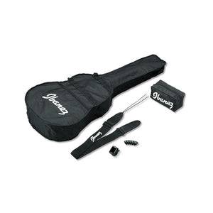 Ibanez VC50NJP-NT Jam Pack Acoustic Guitar, Natural