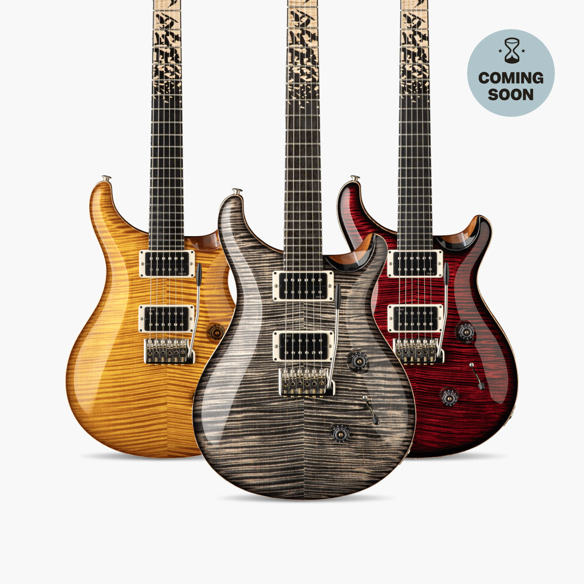 PRS Custom 24 Birds of a Feather | Swee Lee Brunei