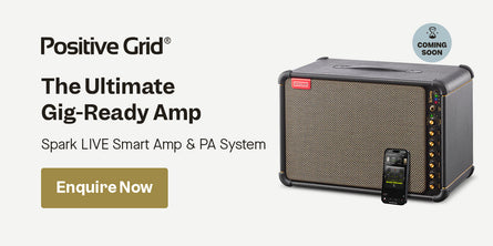 Positive Grid Spark LIVE Smart Amp & PA System | Swee Lee Brunei