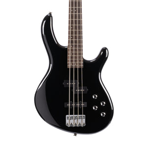 products_2FC18-ACTIONBASSVIPLUS-BK_2FC18-ACTIONBASSVIPLUS-BK_1741781837391.jpg