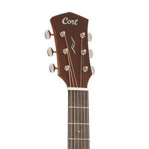 products_2FC18-ES-GA4-SP-BRSG_2FC18-ES-GA4-SP-BRSG_1771472429974.jpg