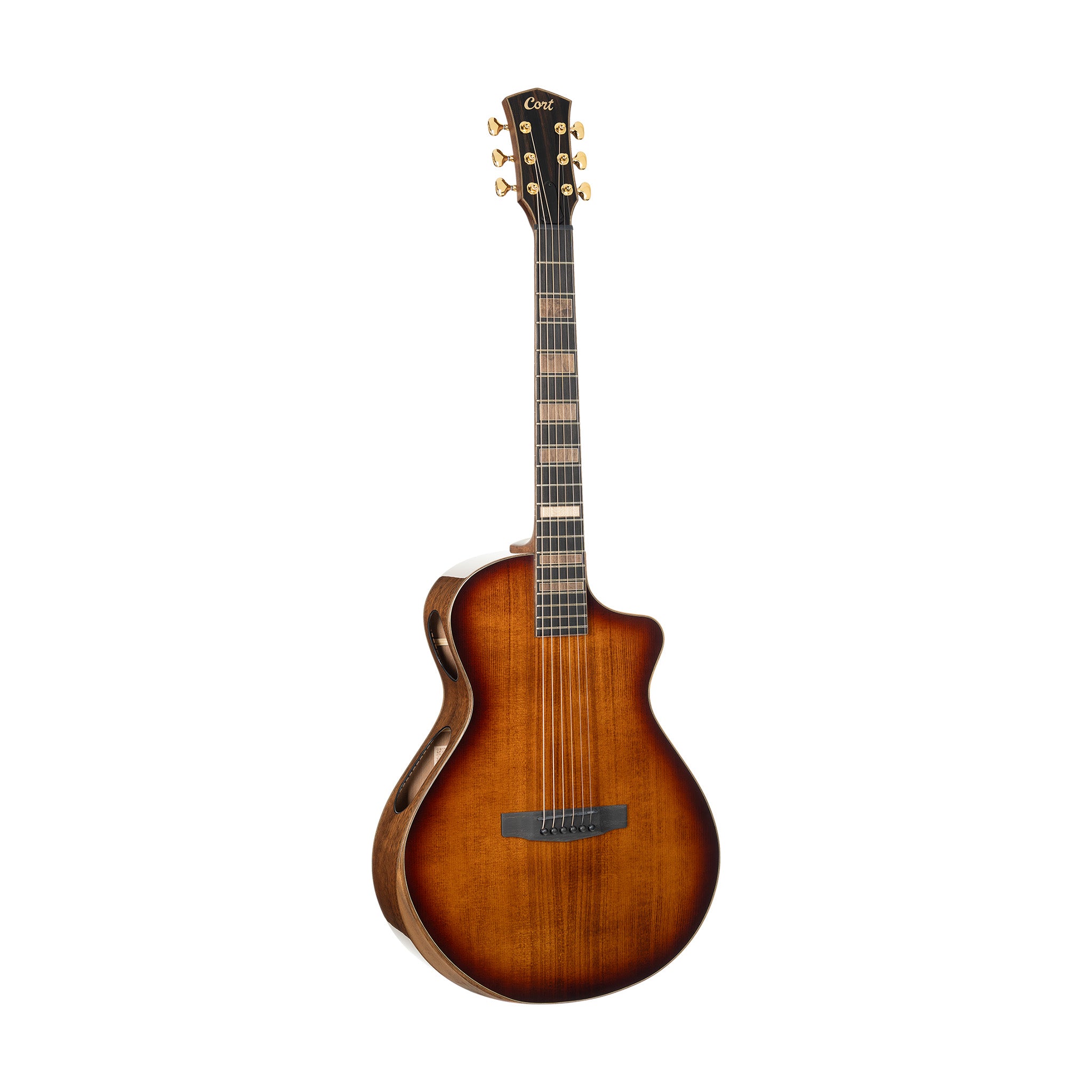 products_2FC18-MODERN-BURST-TSB_2FC18-MODERN-BURST-TSB_1778232032300.jpg