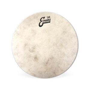 Evans TT12C7 12inch Calftone - Tom