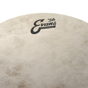 Evans TT12C7 12inch Calftone - Tom