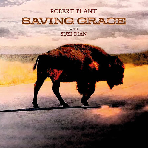 Saving Grace - Robert Plant (Vinyl) (BD)