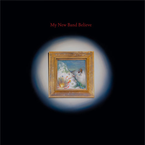 My New Band Believe (EU Press) - My New Band Believe (Vinyl) (BD)