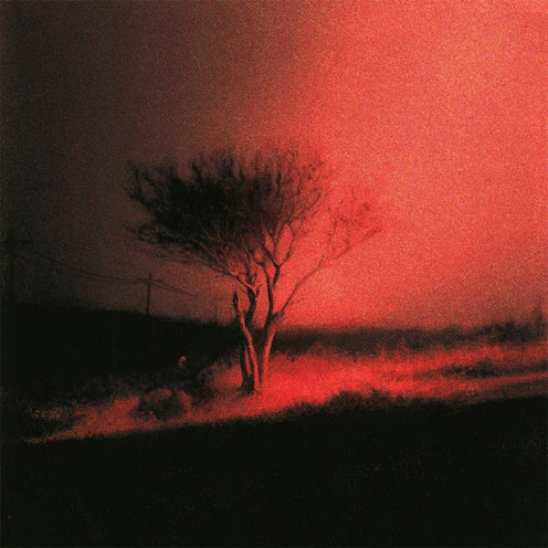 Piss in the Wind (EU Press) - Joji (Vinyl) (BD)