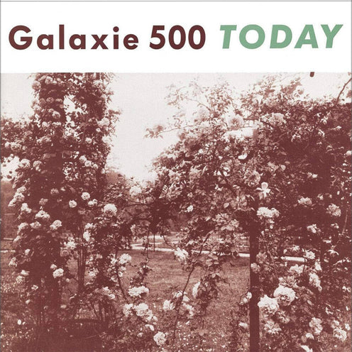 Today (EU Press) - Galaxie 500 (Vinyl) (BD)