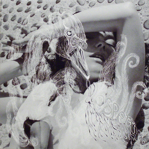 Vespertine (2020 Reissue) - Bjork (Vinyl) (BD)