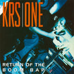 Return Of The Boom Bap (2017 MOV Reissue) - KRS-One (Vinyl) (BD)