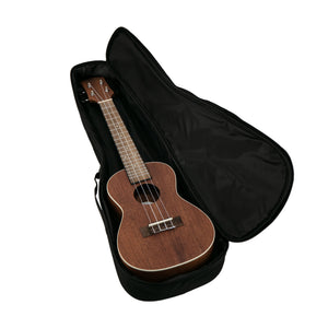 Harmony Foundation Series Sierra Concert Ukulele w/Bag, Natural Satin