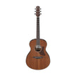 Ibanez AAM54-OPN Acoustic Guitar, Open Pore Natural