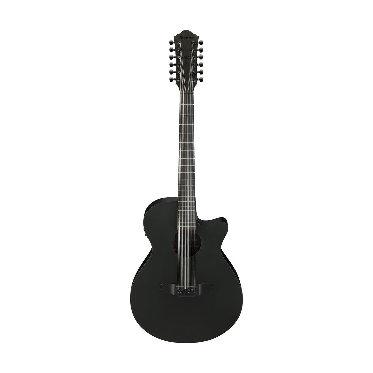 String Bot Ibanez AEG1221-BOT 12-String Acoustic Guitar, Black Out – Swee Lee Brunei