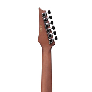 Ibanez Altstar ALT20-OPN Acoustic-Electric Guitar, Open Pore Natural