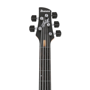 Ibanez GWB25TH-SWF 5-String Electric Bass Guitar w/Gig bag, Silver Wave Burst Flat