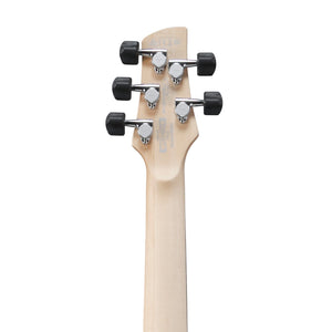 Ibanez GWB25TH-SWF 5-String Electric Bass Guitar w/Gig bag, Silver Wave Burst Flat