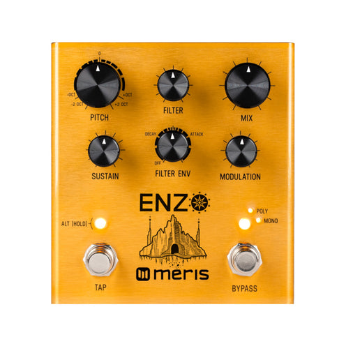 Meris Enzo Multi-Voice Instrument Synthesizer Pedal