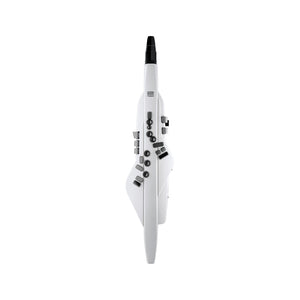Roland Aerophone AE-20, White