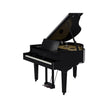 products_2FR11-GP-9-PE_2FR11-GP-9-PE_1773046588080.jpg