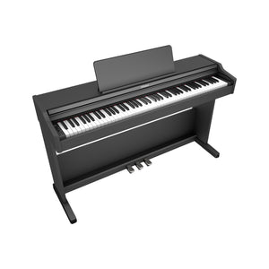products_2FR11-RP107-BK_2FR11-RP107-BK_1749720741435.jpg