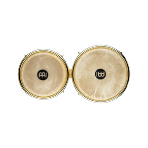 MEINL Percussion WB200NT-G WB200 Wood Bongo, Gold Tone Hardware