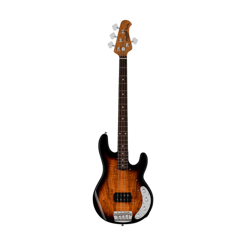 Sterling By Music Man RAY34 Bass Guitar, Spalted Maple 3-Tone Sunburst