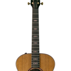 products_2FT25-CUSTOM-GC-12102-12FRET_2FT25-CUSTOM-GC-12102-12FRET_1683598807264.jpg