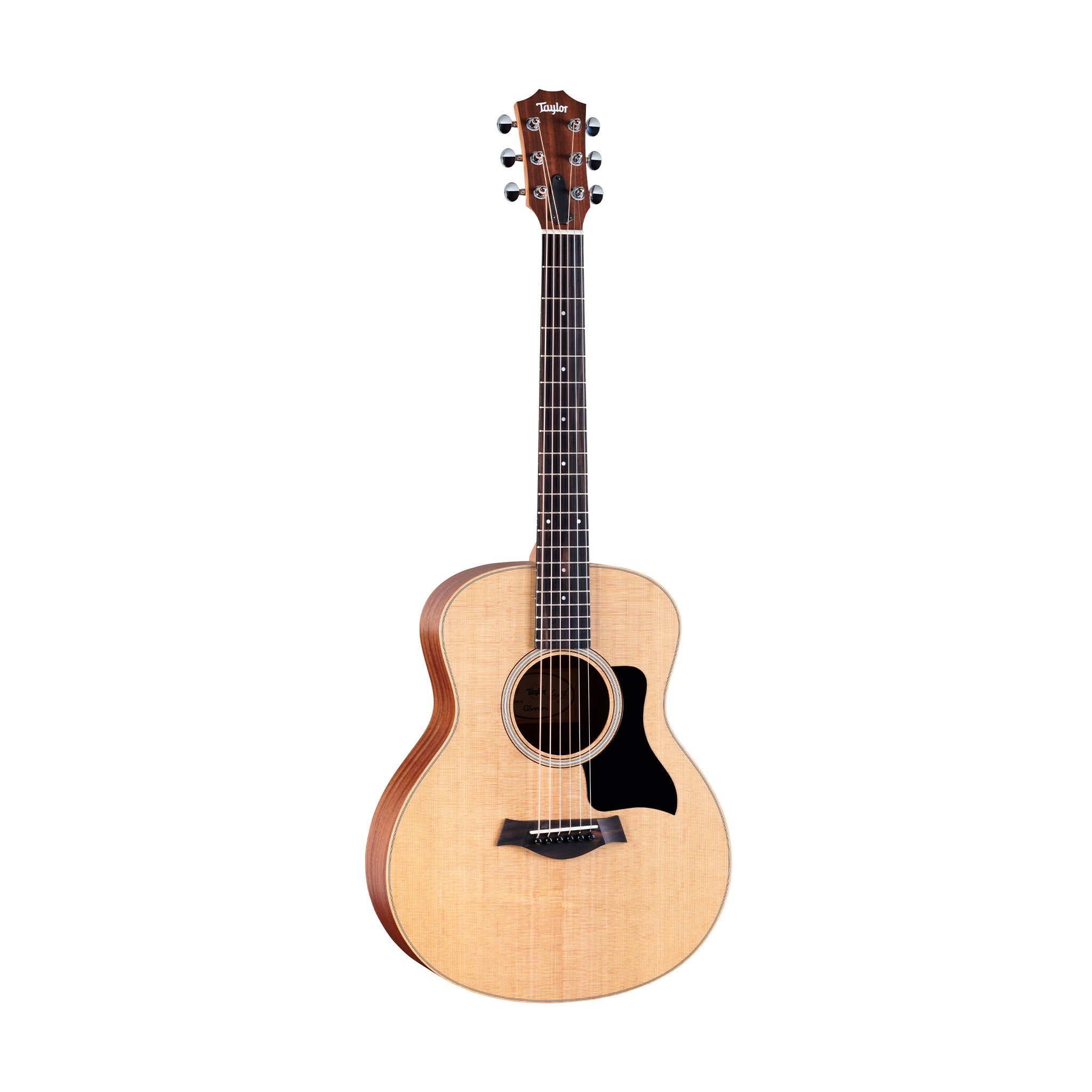 products_2FT25-GS-MINI_2FT25-GS-MINI_1783074259791.jpg