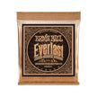 Ernie Ball Everlast Medium Coated Phosphor Bronze Acoustic Guitar Strings, 13-56 (P02544)