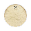 Evans BD22CT 22inch Calftone - Bass