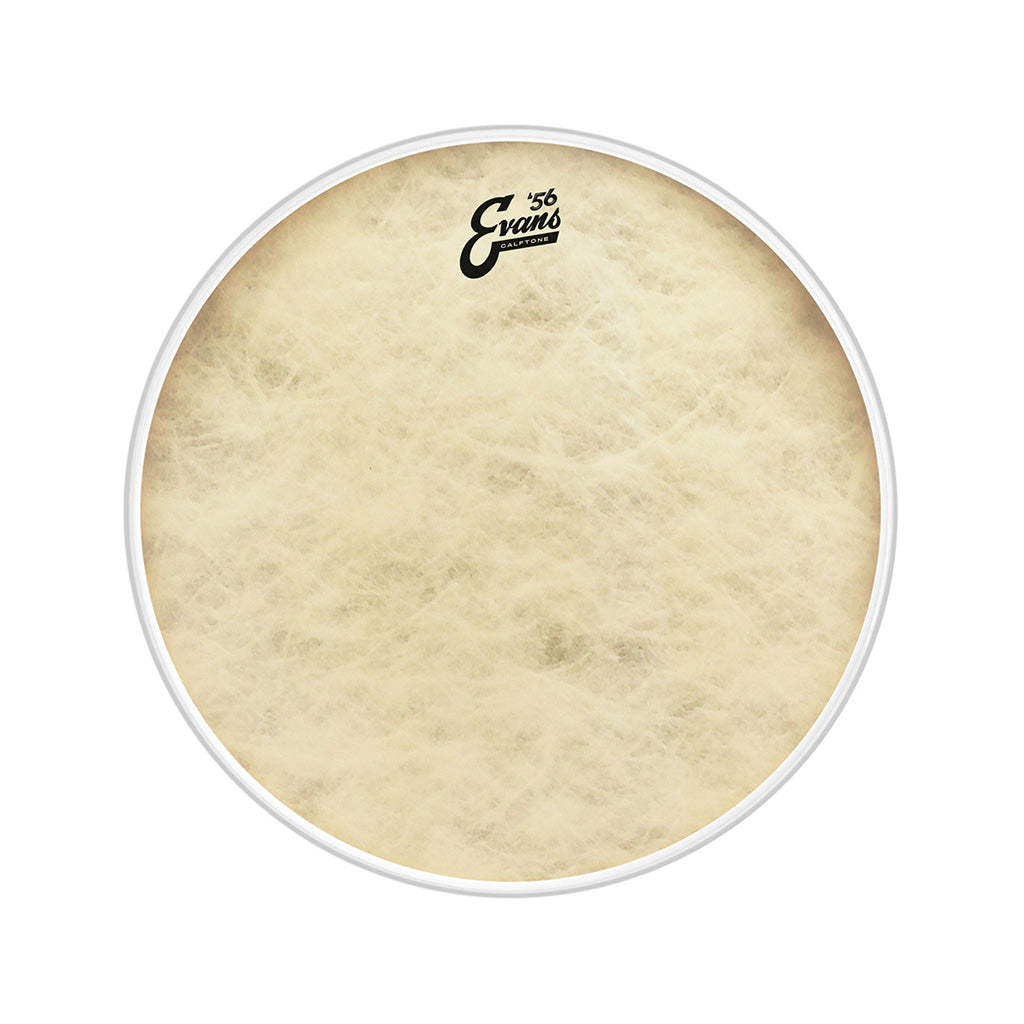 Evans BD22CT 22inch Calftone - Bass