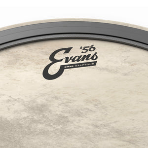 Evans BD24EMADCT 24inch EMAD Calftone- Bass