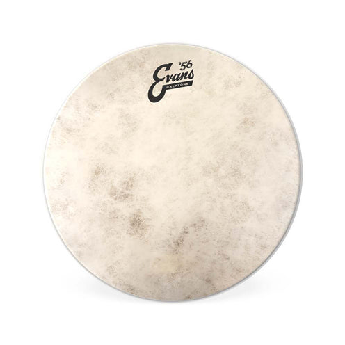 Evans TT15C7 15inch Calftone - Tom