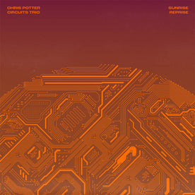 Sunrise Reprise - Chris Potter (Vinyl) (AE)