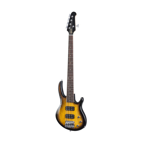 Gibson 2017 EB Bass T 5-String Bass Guitar, Satin Vintage Sunburst