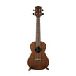 Harmony Foundation Series Sierra Concert Ukulele w/Bag, Natural Satin