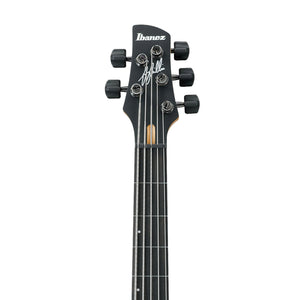 Ibanez GWB205-NTF Premium 5-String Electric Bass Guitar w/Case, Natural Flat