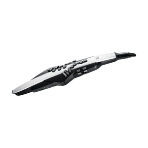 Roland Aerophone AE-20
