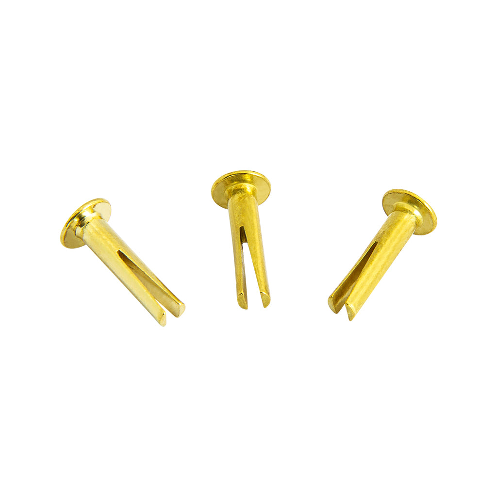 MEINL Cymbals CY-RIVET-BR Sizzle Rivets, Brass Plated