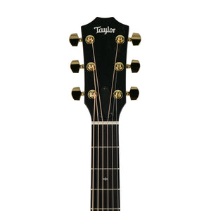 Taylor 224ce-UA DLX LTD Layered Urban Ash/Urban Ash Acoustic Guitar w/Case, Tobacco Sunburst