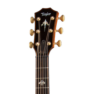 Taylor 914ce V-Class Grand Auditorium Acoustic Guitar w/Case