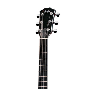 Taylor T5 Standard Electric Guitar w/Case, Black