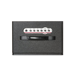 ZT Custom Shop Lee Ranaldo Club Amp